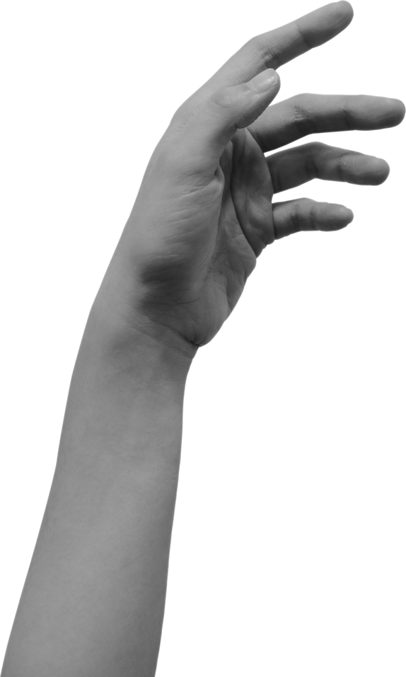 Human Hand Gesture